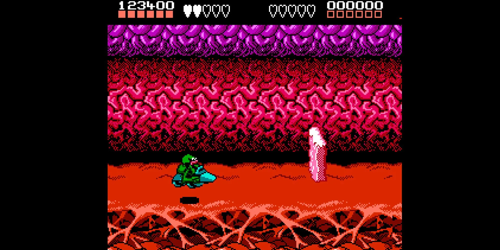 Hai chú cóc chiến đấu trong Battletoads phiên bản NES