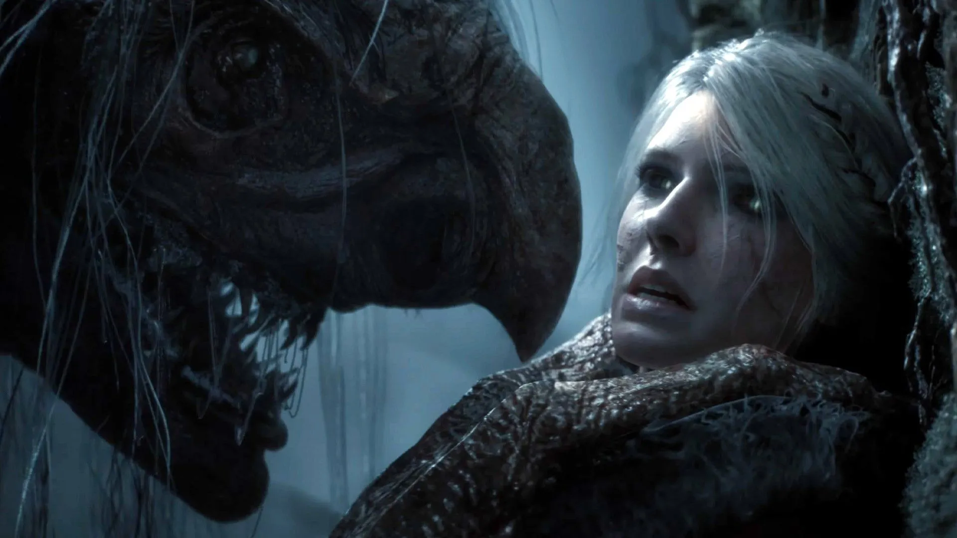 Hình ảnh Ciri trong The Witcher 4 - game thủ cần cảnh giác lừa đảo