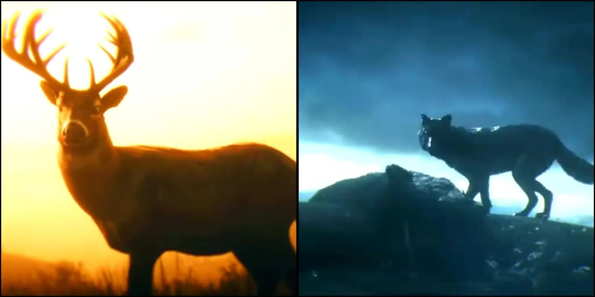 Lựa chọn thiện ác ảnh hưởng đến danh dự của Arthur Morgan trong RDR2.