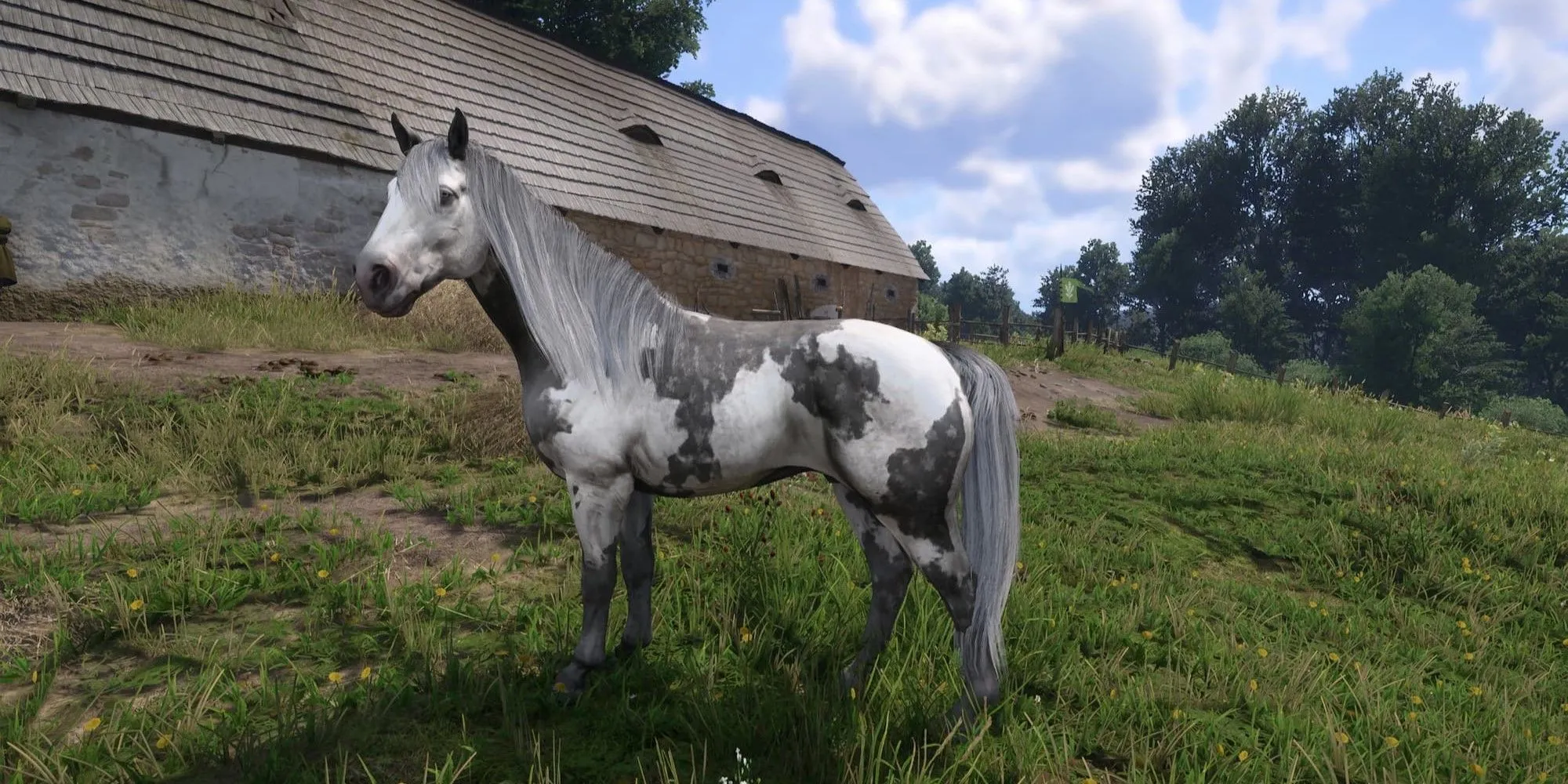 Một con ngựa độc đáo trong Kingdom Come Deliverance 2 được giới thiệu bởi Unique Horses Mod của Ellez trên Nexus Mods
