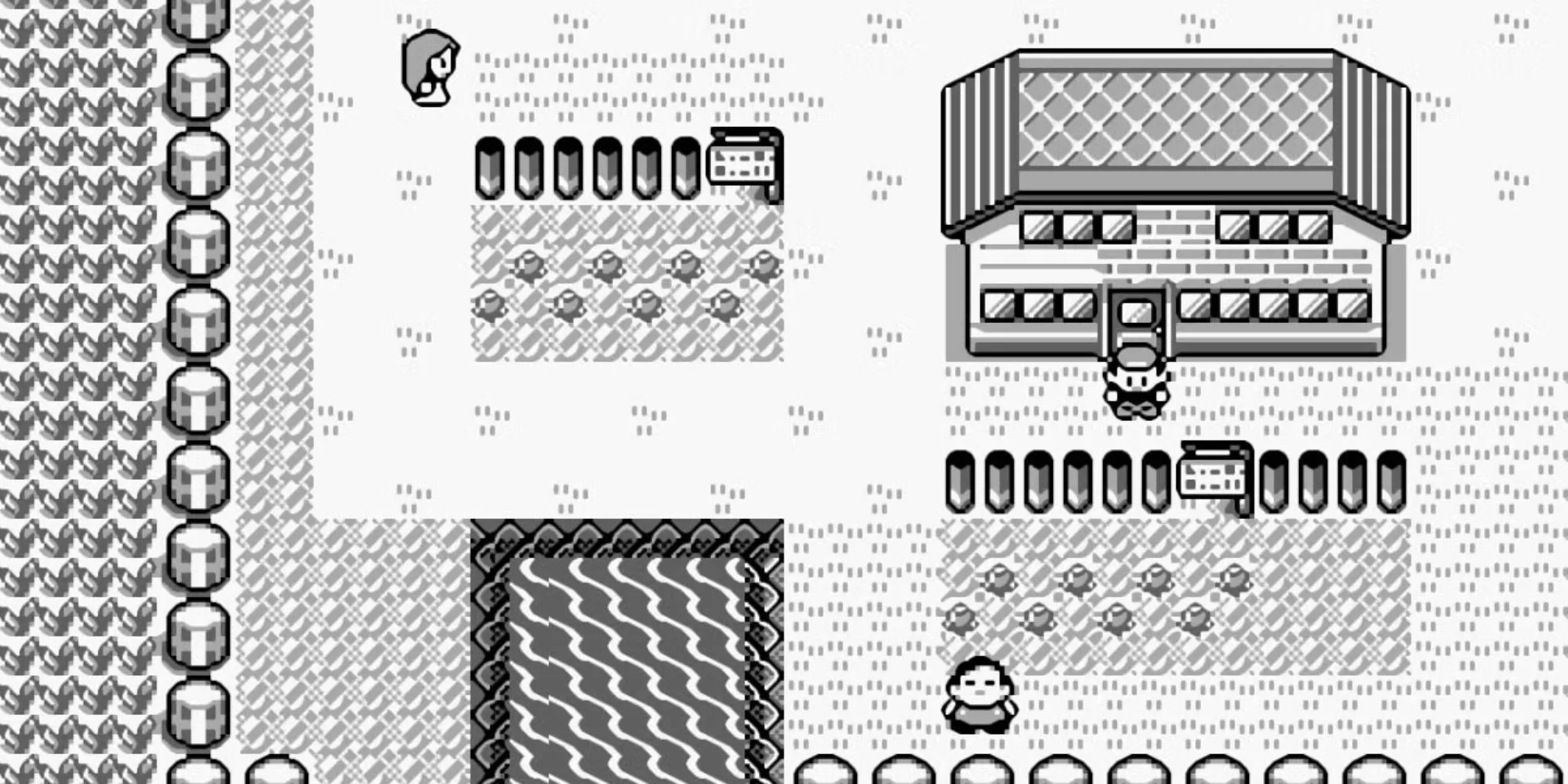 Một thị trấn trong game Pokemon Red and Blue với các tòa nhà và NPC