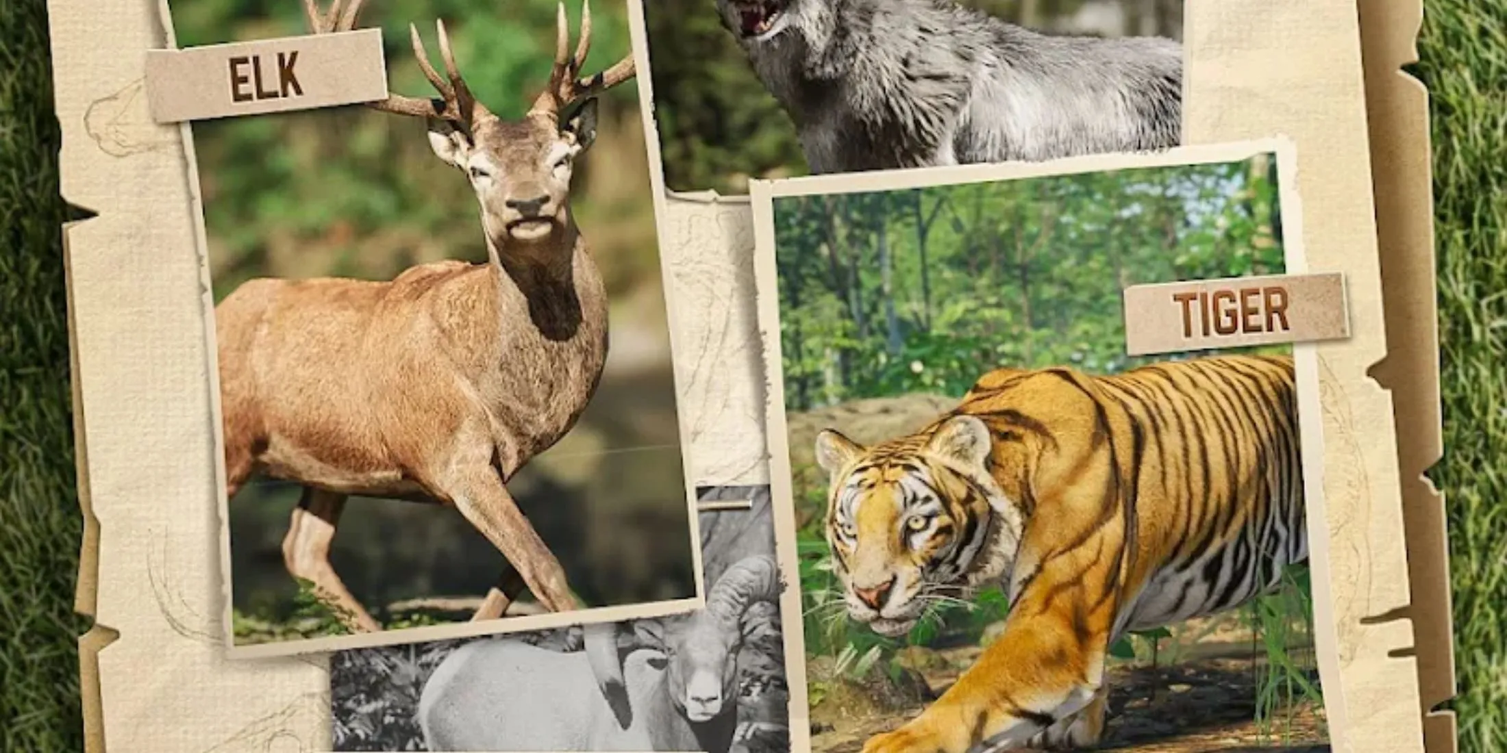 Hình ảnh hươu nai và hươu elks trong Hunting Sniper minh họa các loài săn bắn và phần thưởng vũ khí