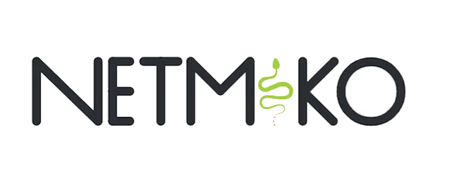 Logo Netmiko trên GitHub — thư viện Python cho NetDevOps